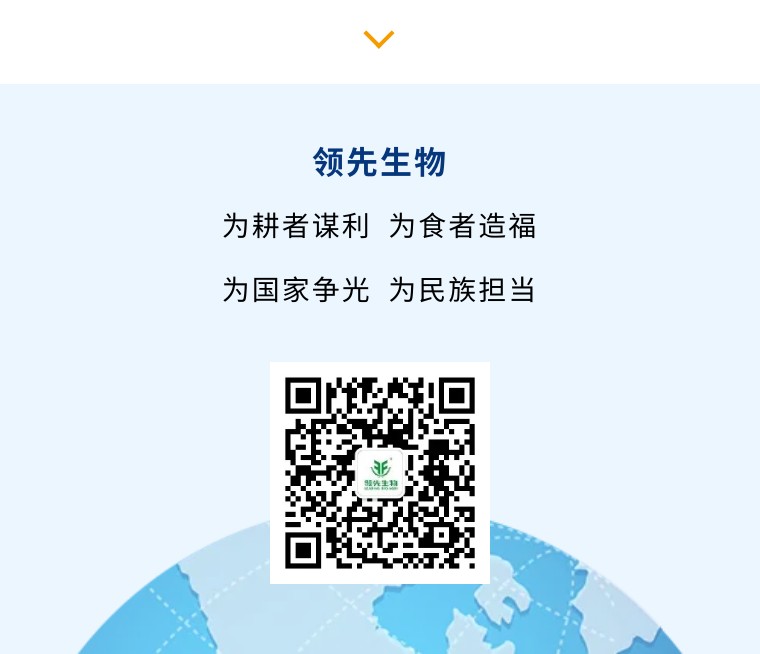 “鄉(xiāng)”約沽源 “薯”光無(wú)限 | 領(lǐng)先生物亮相久恩農(nóng)業(yè)田間開(kāi)放日 “鄉(xiāng)”約沽源 “薯”光無(wú)限 | 領(lǐng)先生物亮相久恩農(nóng)業(yè)田間開(kāi)放日