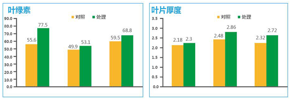 領(lǐng)先生物“海藻+氮磷鉀+腐植酸”讓果樹旺起來 領(lǐng)先生物“海藻+氮磷鉀+腐植酸”讓果樹旺起來